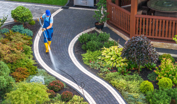 Best Local Pressure Washing Services  in Jackson, GA