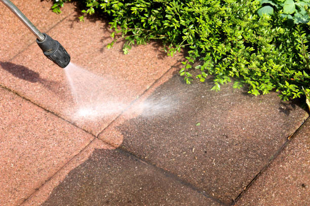 Best Pressure Washing Near Me  in Jackson, GA